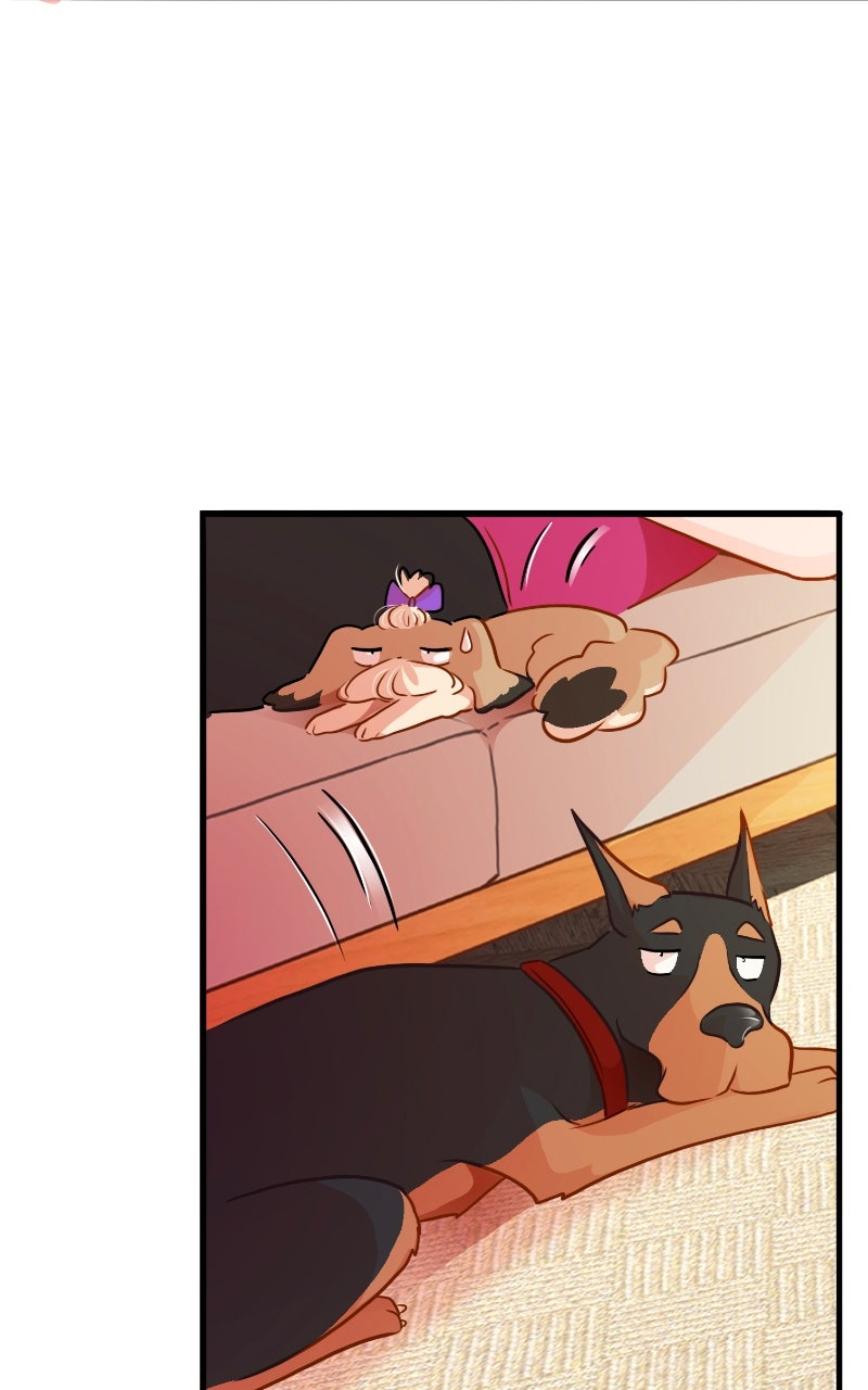 Love 4 a Walk Chapter 67 - Page 41