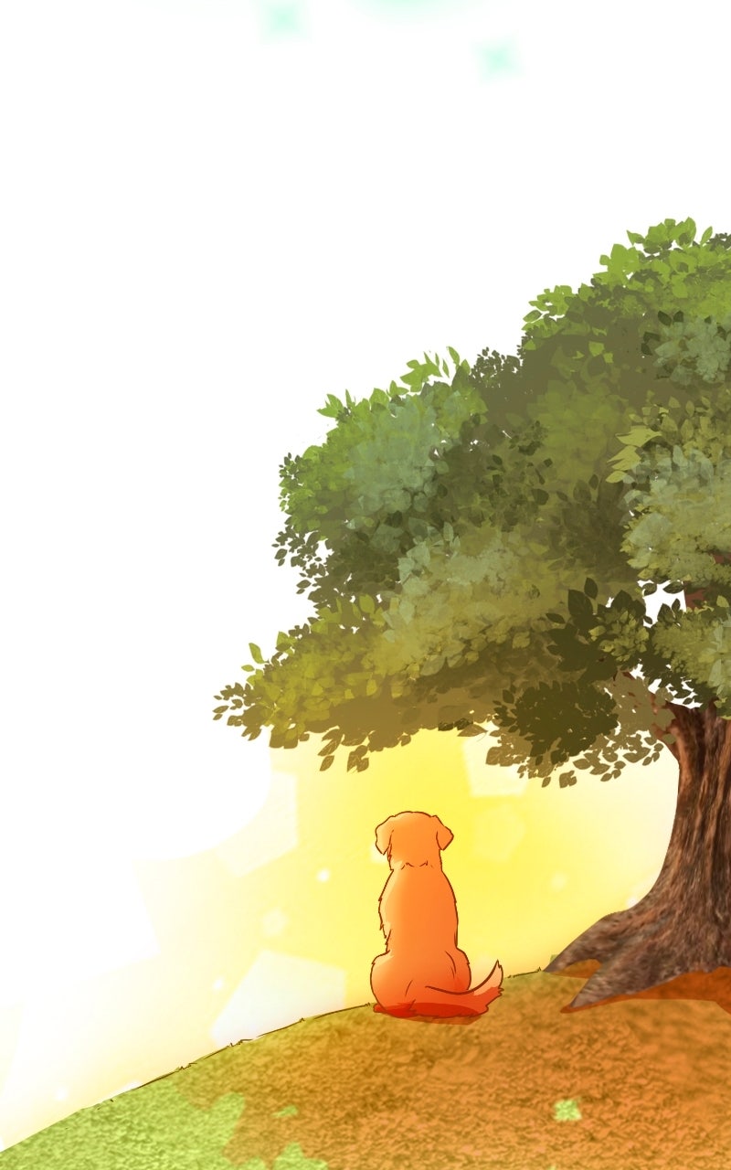 Love 4 a Walk Chapter 69 - Page 2