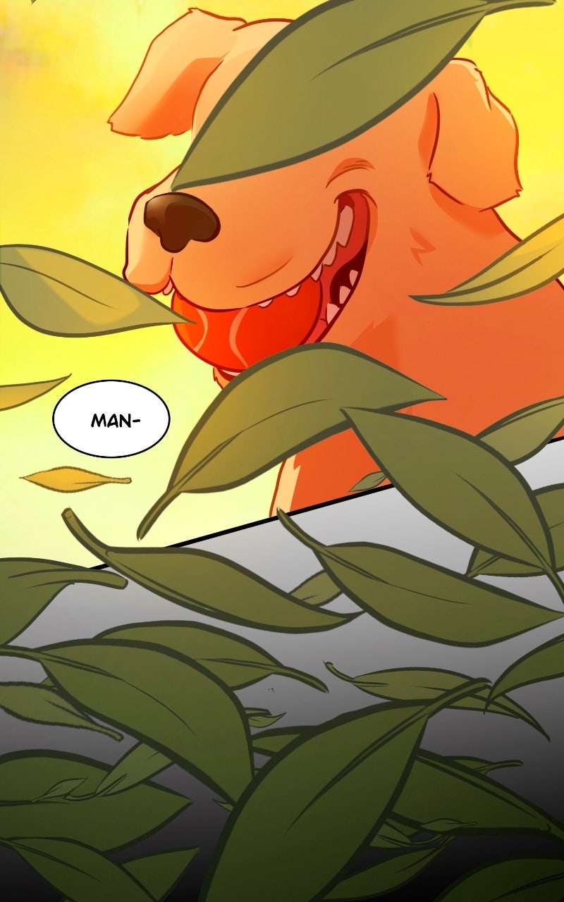 Love 4 a Walk Chapter 69 - Page 5