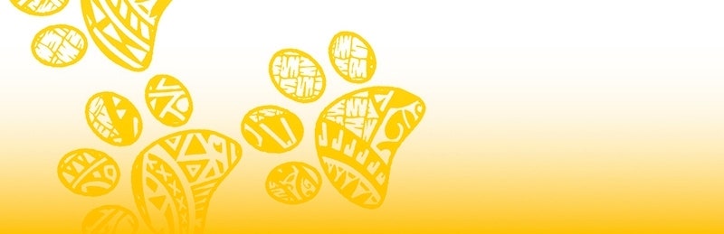 Love 4 a Walk Chapter 69 - Page 73