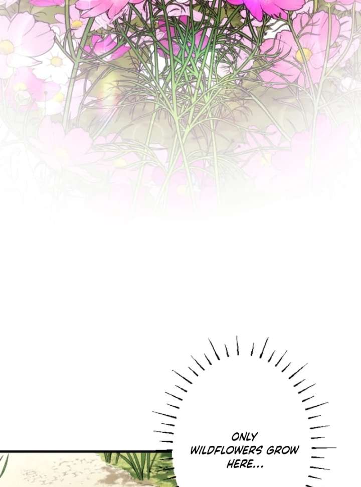 Marriage Contract With the Ruthless CEO Chapter 8 - Page 66