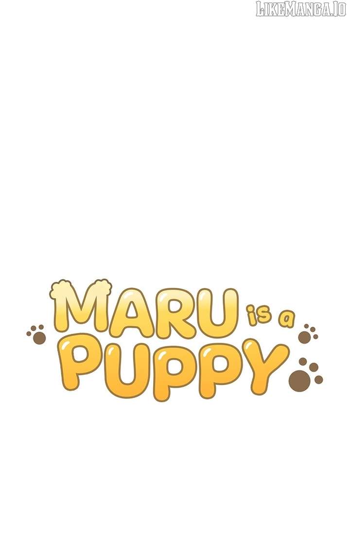 Maru Is a Puppy Chapter 117 - Page 13
