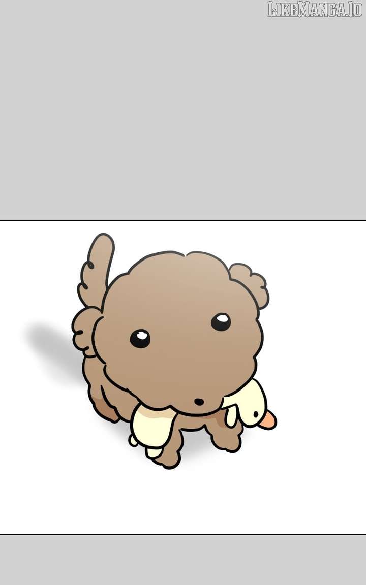 Maru Is a Puppy Chapter 117 - Page 42