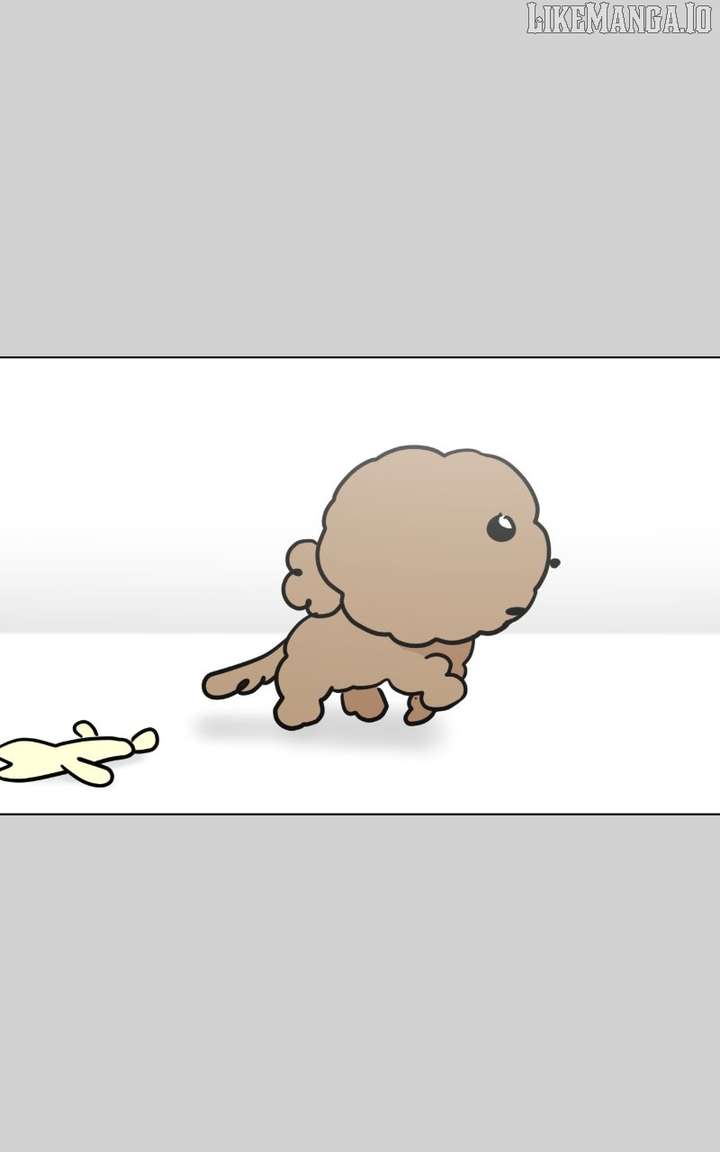 Maru Is a Puppy Chapter 117 - Page 43