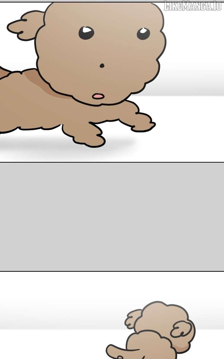 Maru Is a Puppy Chapter 117 - Page 44