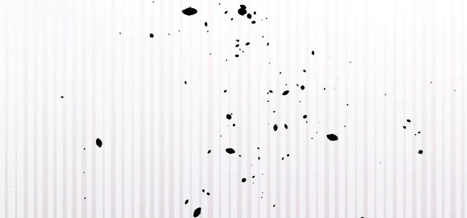 Miji’s Mysterious Men Chapter 1 - Page 277