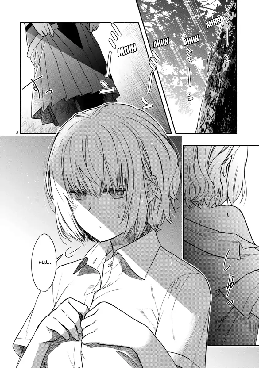 Miseru, Mitsumeru, Futari Dake Chapter 4 - Page 3