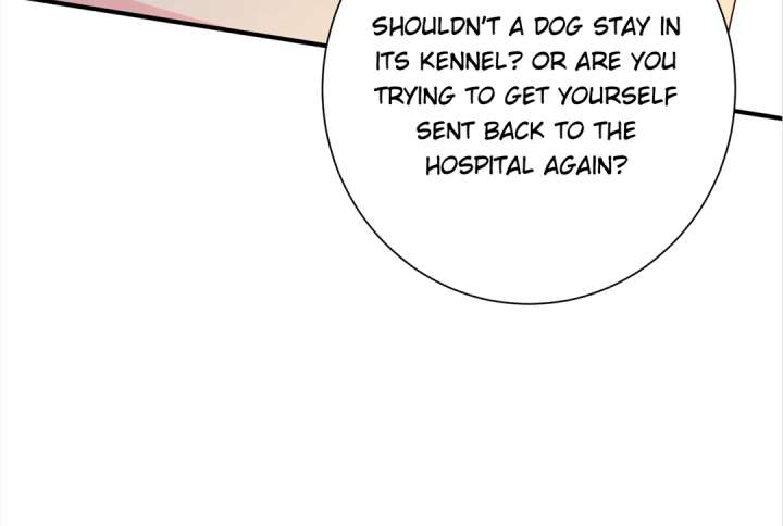 Mr. Qiao, Madam Is Spoiled by You Chapter 47 - Page 69