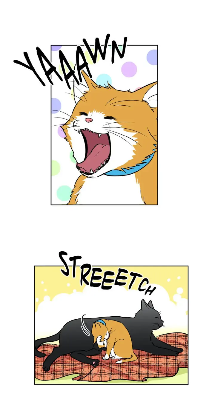 My Cute Beast! Chapter 46 - Page 2