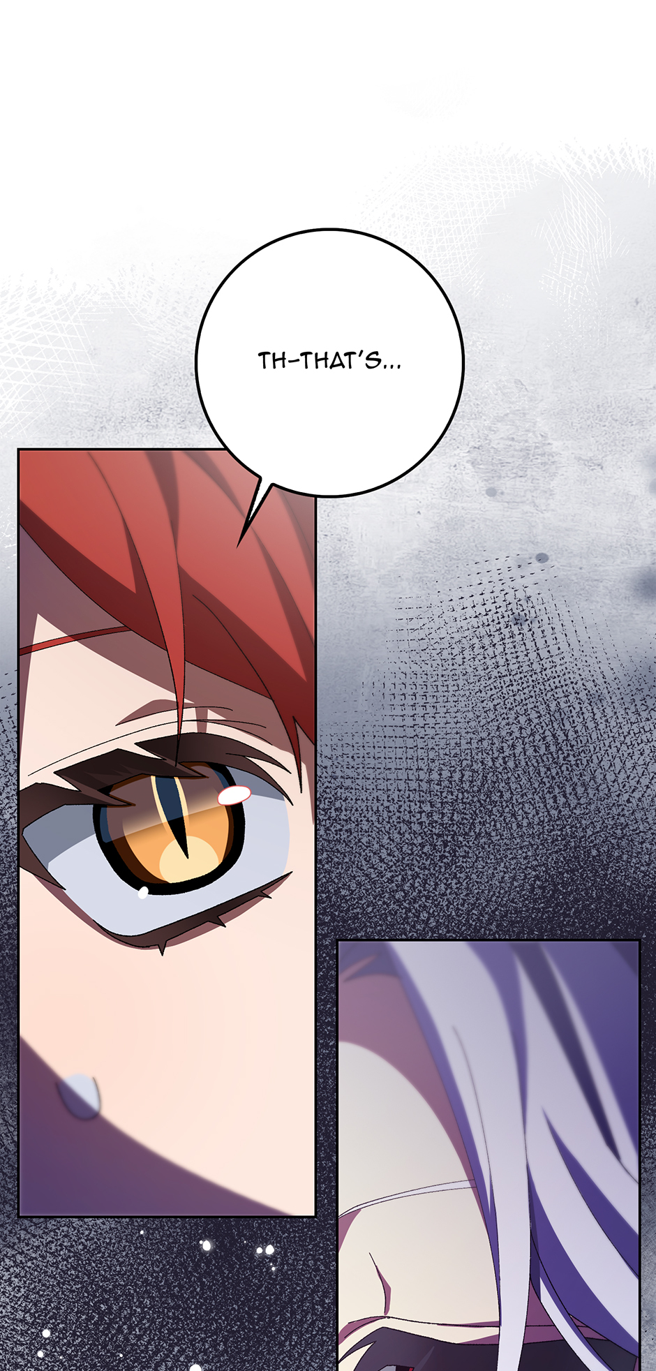 My Misraised Husband Chapter 9 - Page 17