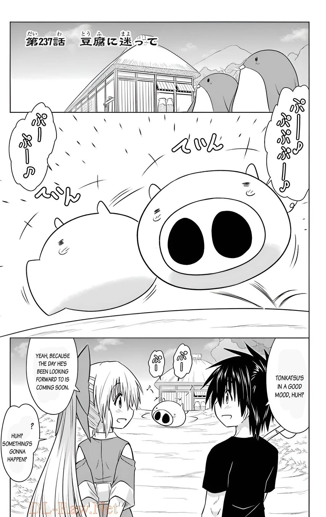 Nagasarete Airantou Chapter 237 - Page 5