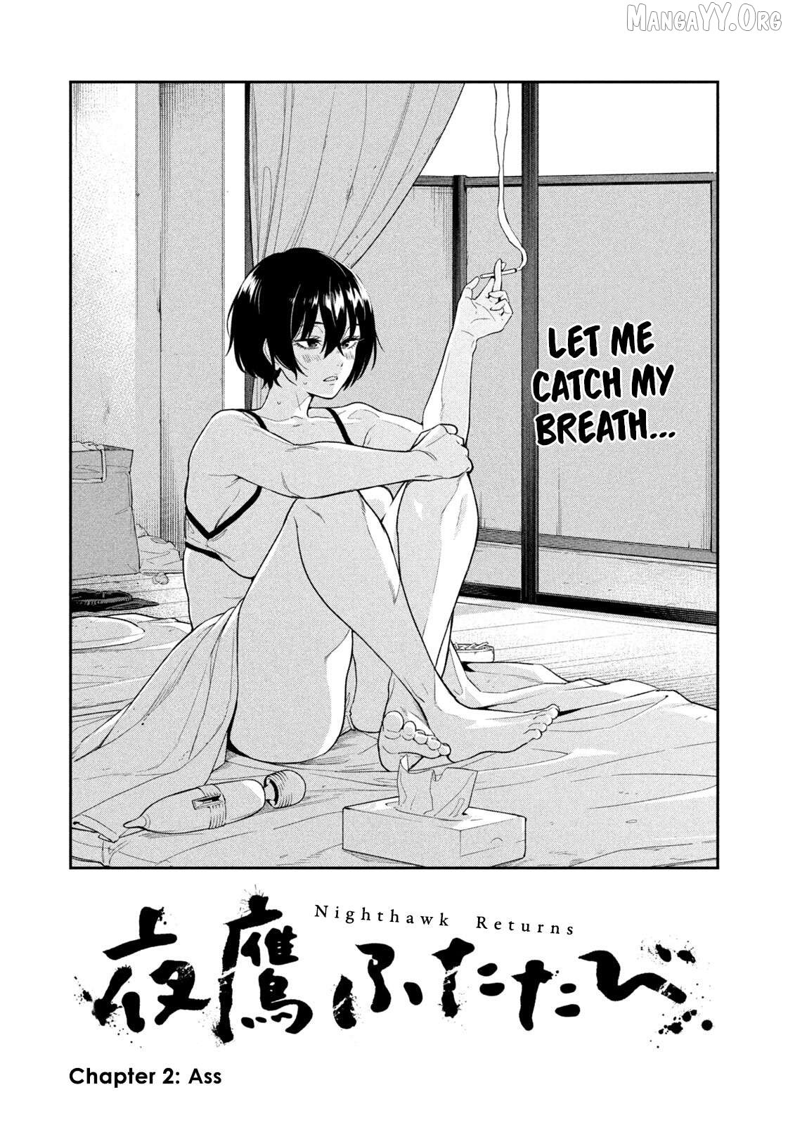Nighthawk Returns Chapter 2 - Page 2