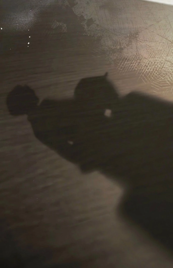 Odalisque Chapter 50 - Page 78