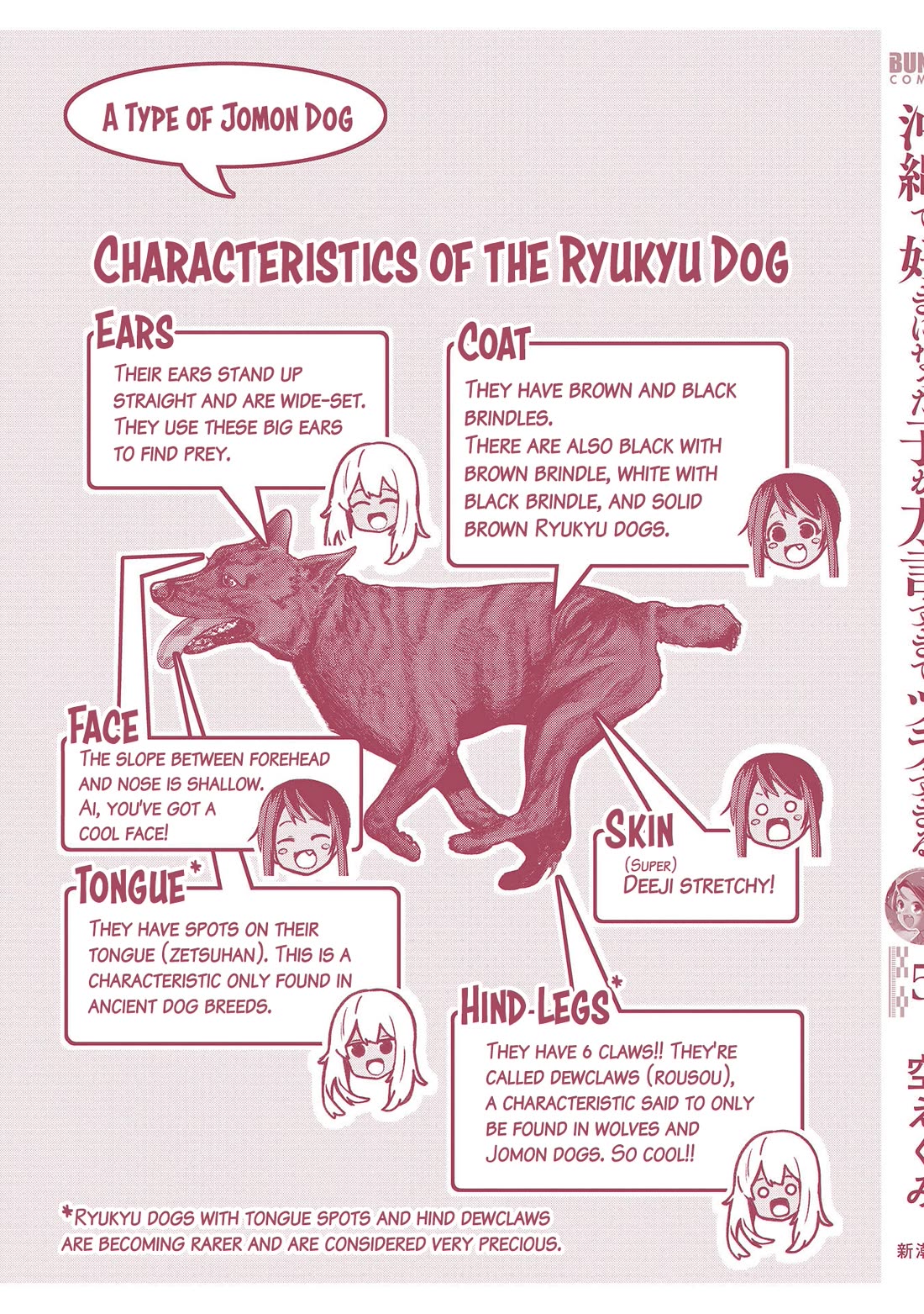 Okinawa de Suki ni Natta ko ga Hougen Sugite Tsura Sugiru Chapter 49.5 - Page 17