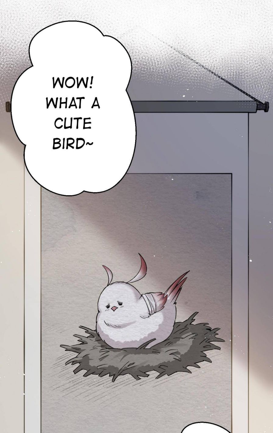 Please Spare Me! Apprentice! Chapter 9 - Page 20