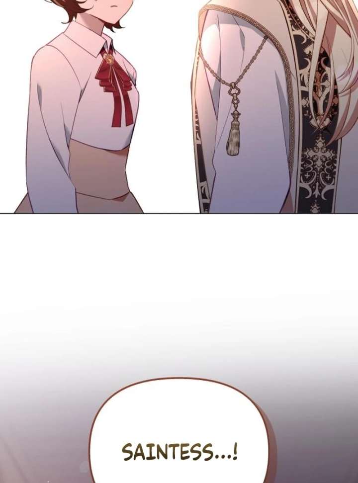 Protect the Fake Saint! Chapter 17 - Page 11