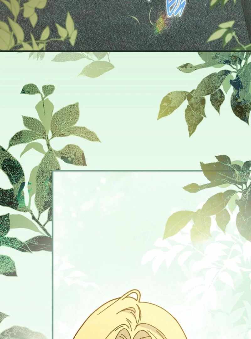 Raga of Withered Branches Chapter 127 - Page 37