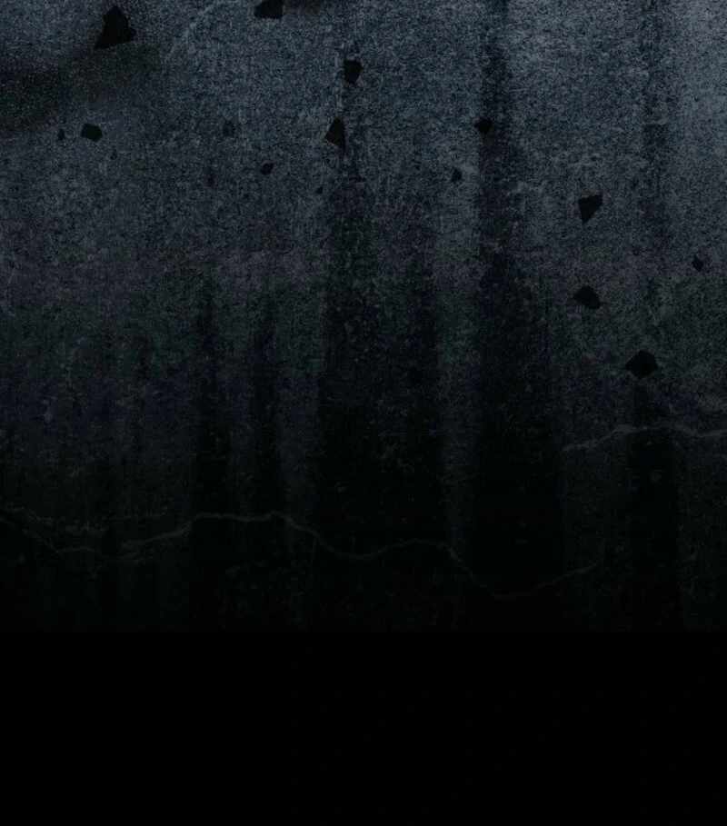 Raga of Withered Branches Chapter 128 - Page 89