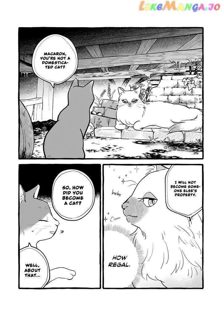 Reemployment Life With an Unsociable Untalkative Magician Chapter 11 - Page 3