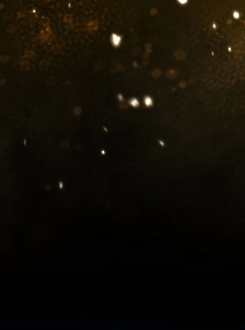 Reincarnated as the Strongest Monster Eater: Revenge on the Tyrant Dragon Chapter 14 - Page 122