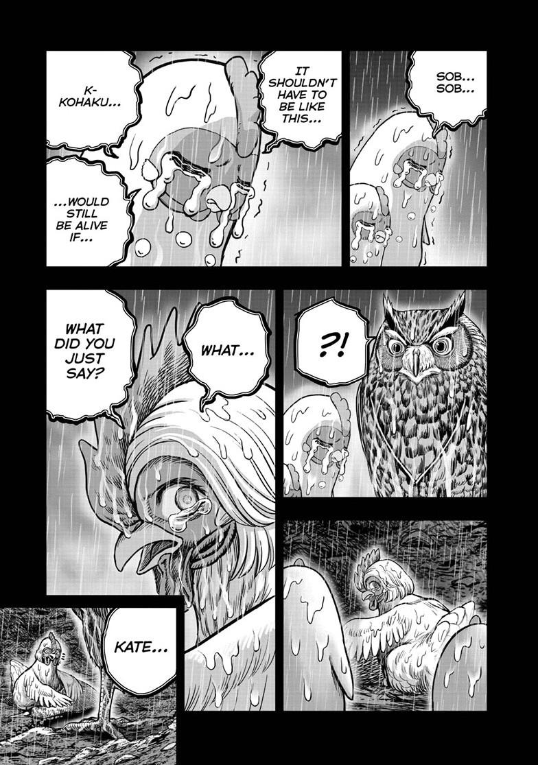 Rooster Fighter Chapter 54 - Page 13