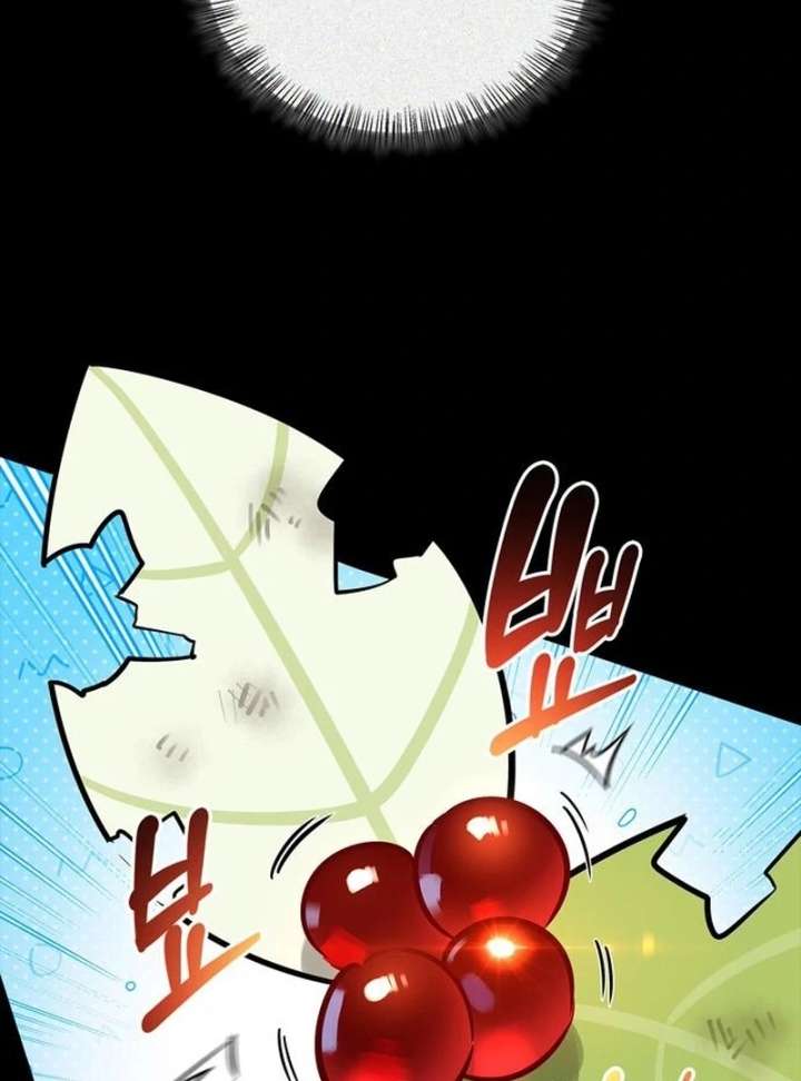 S-Class Hunter Heals with Monsters Chapter 24 - Page 71