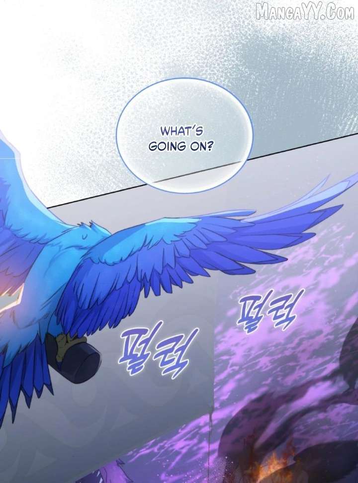 Seabird and the Wolf Chapter 66 - Page 96