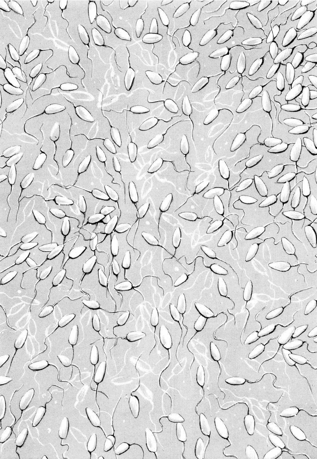 Self Chapter 26 - Page 8