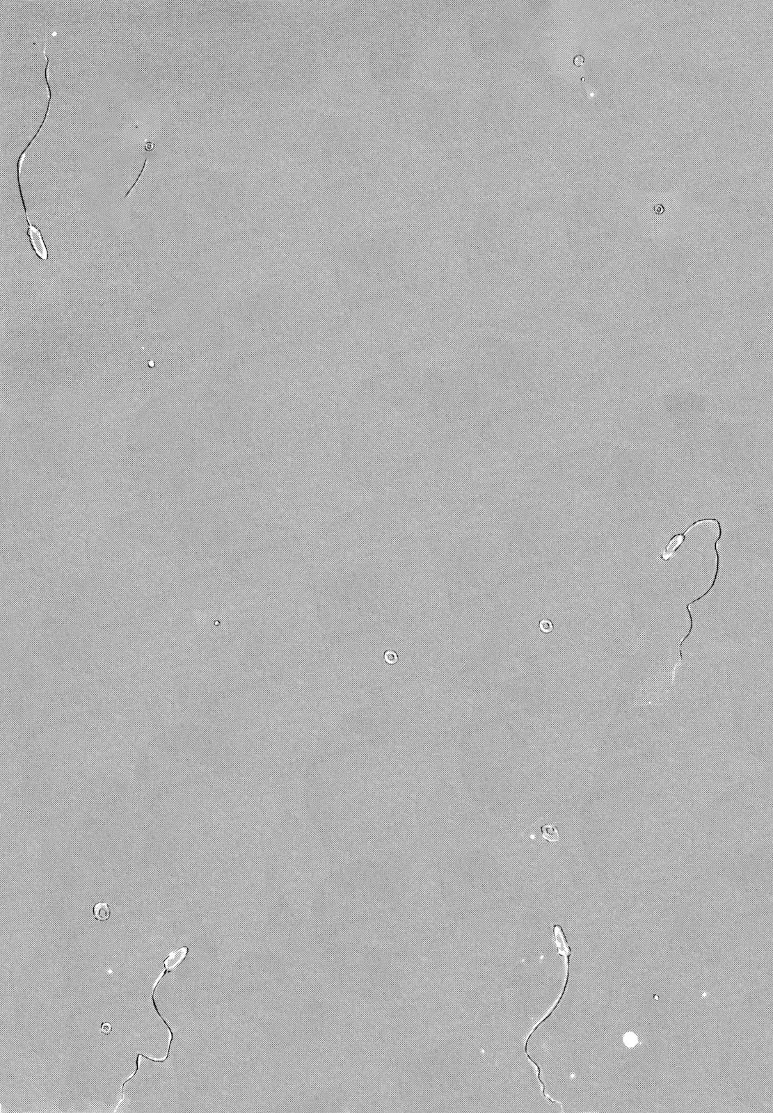 Self Chapter 40 - Page 14