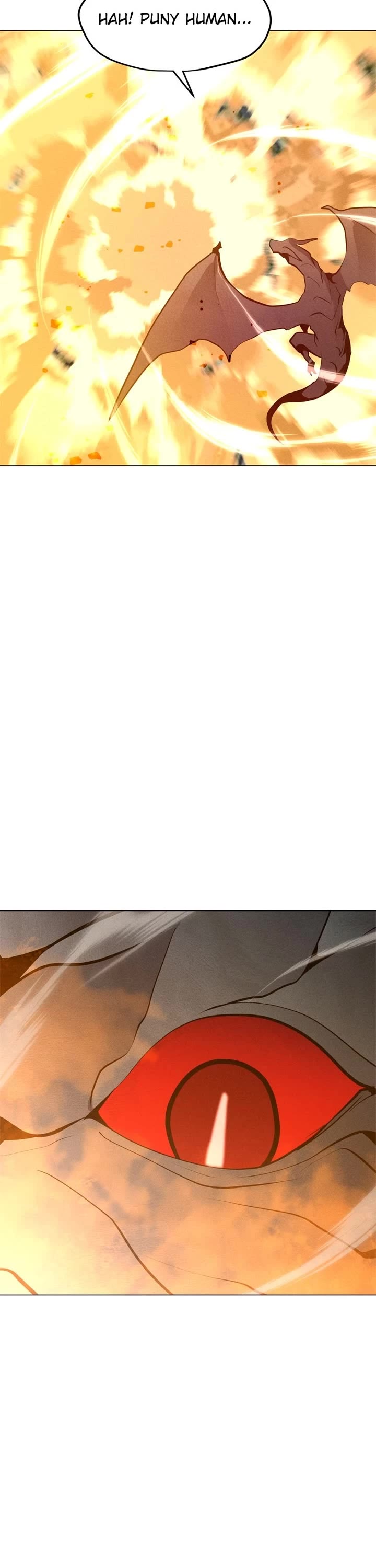 Solo Spell Caster Chapter 214 - Page 43