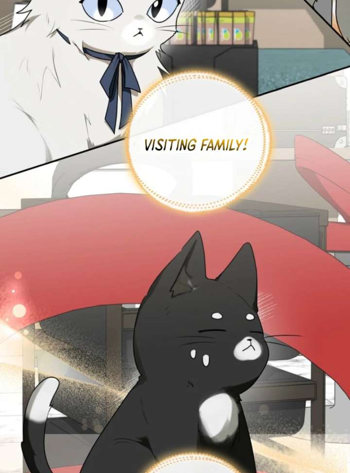 Starting Today, I’m the Butler of Five Men Chapter 1 - Page 18