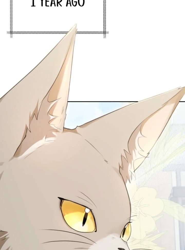 Starting Today, I’m the Butler of Five Men Chapter 1 - Page 38