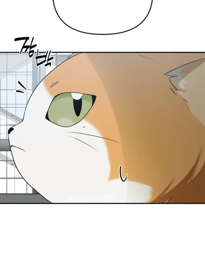 Starting Today, I’m the Butler of Five Men Chapter 8 - Page 138