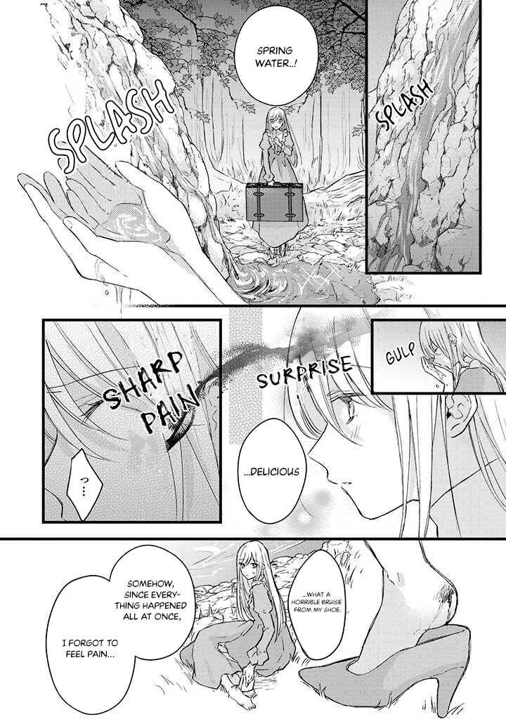 The Abandoned Baroness Is One of the Black Knight’s Favorites Chapter 1.2 - Page 3