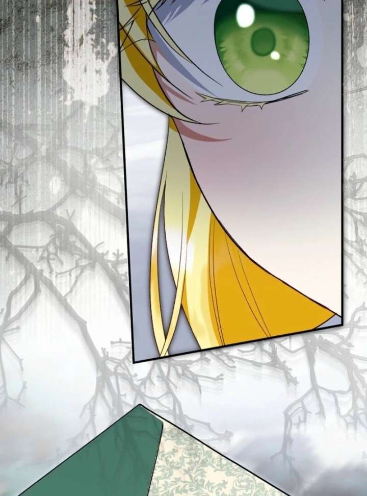 The Adopted Daughter-in-Law Wants to Leave Chapter 107 - Page 46