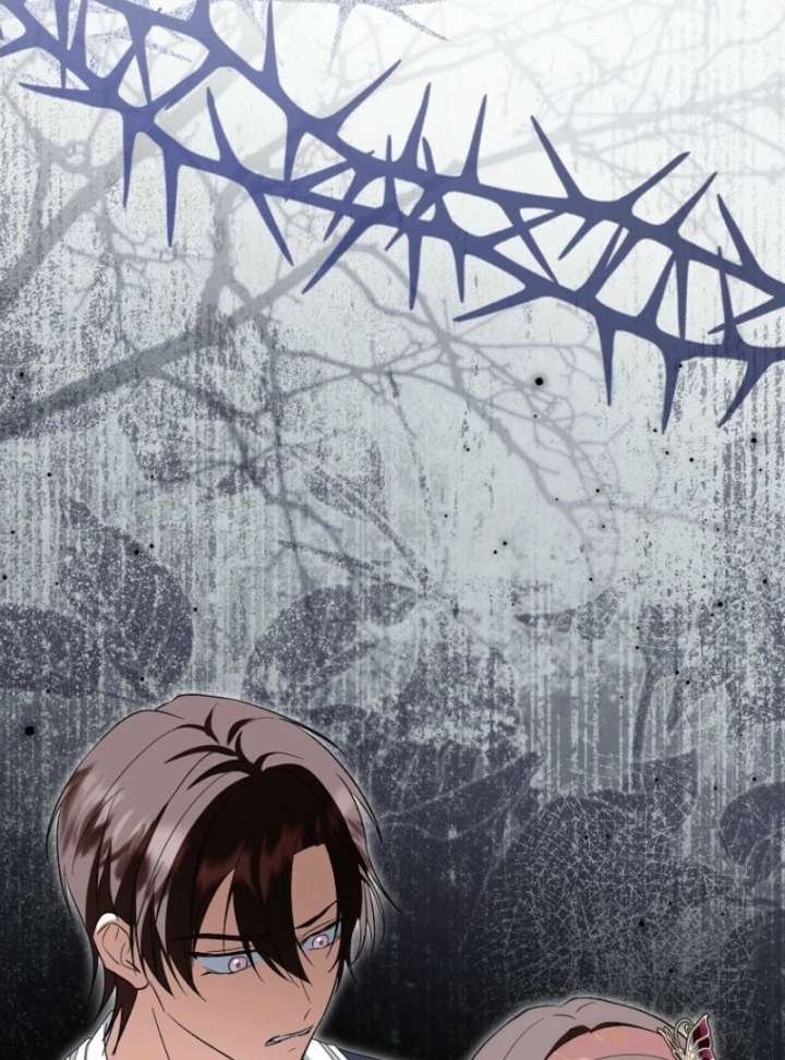 The Adopted Daughter-in-Law Wants to Leave Chapter 108 - Page 97