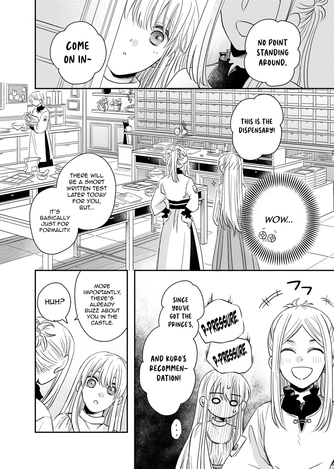 The Banished Princess Is Picked Up by a Great Mage Chapter 11 - Page 10