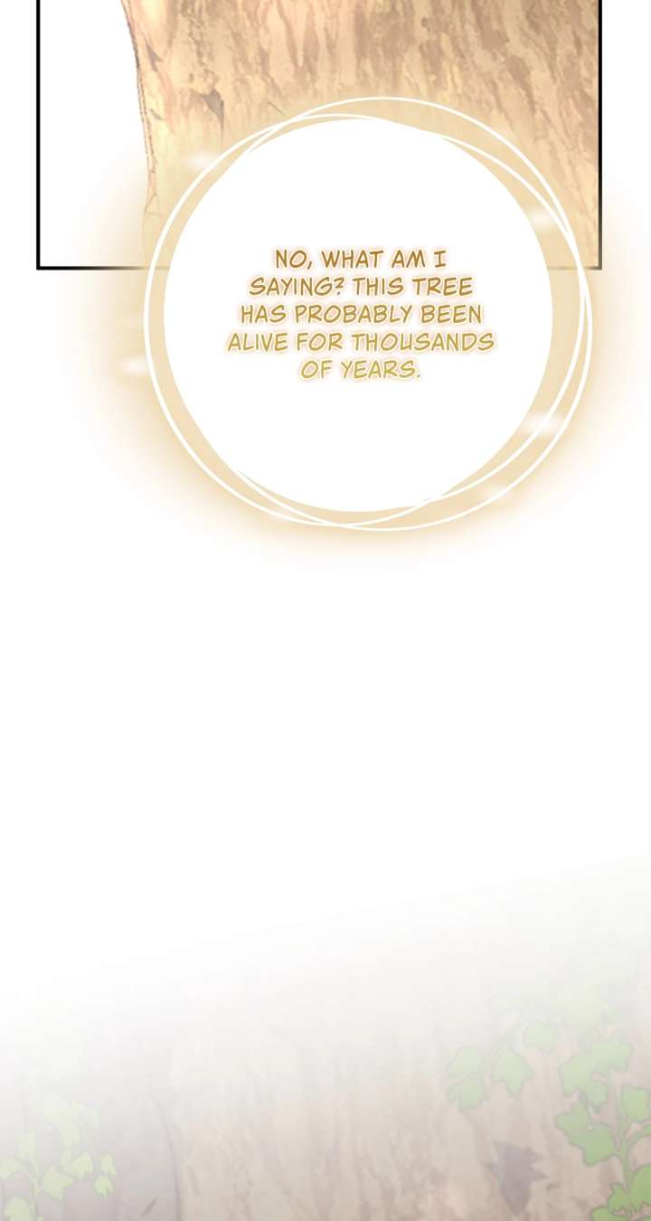 The Beloved Gardener of the World Tree Chapter 17 - Page 98