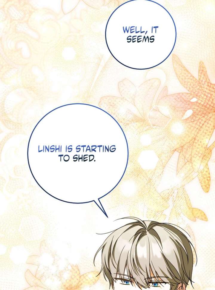 The Beloved New Daughter-In-Law of the Wolf Mansion Chapter 55 - Page 33