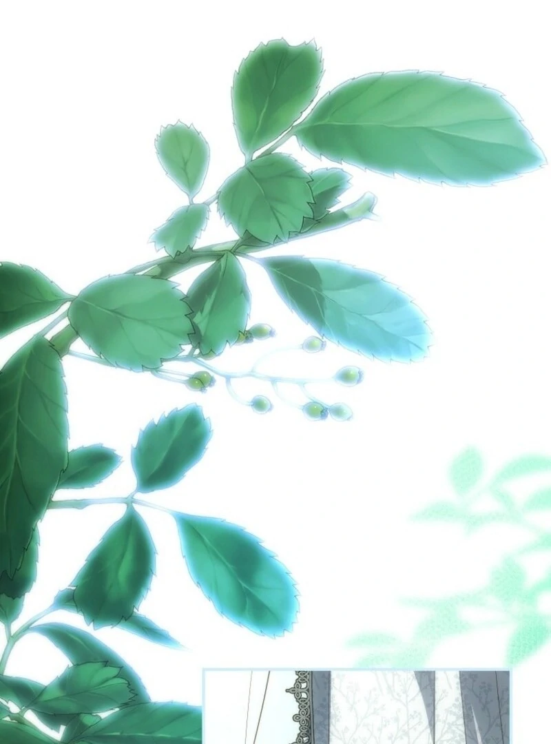 The Blooming Violet in the Back Garden Chapter 76 - Page 38