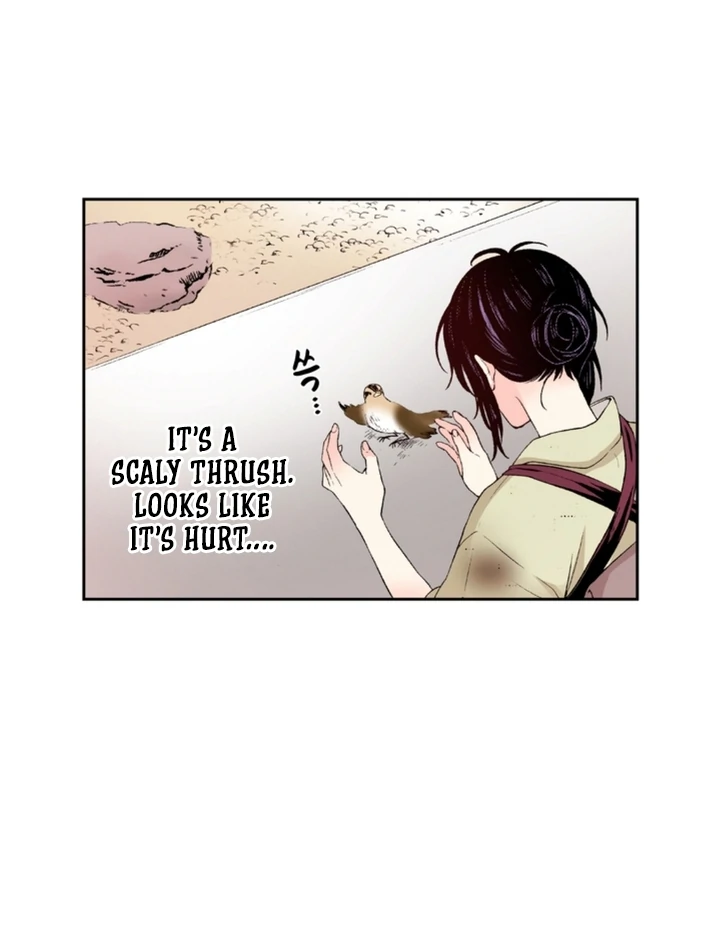 The Bride of the Calamity God Chapter 1 - Page 14