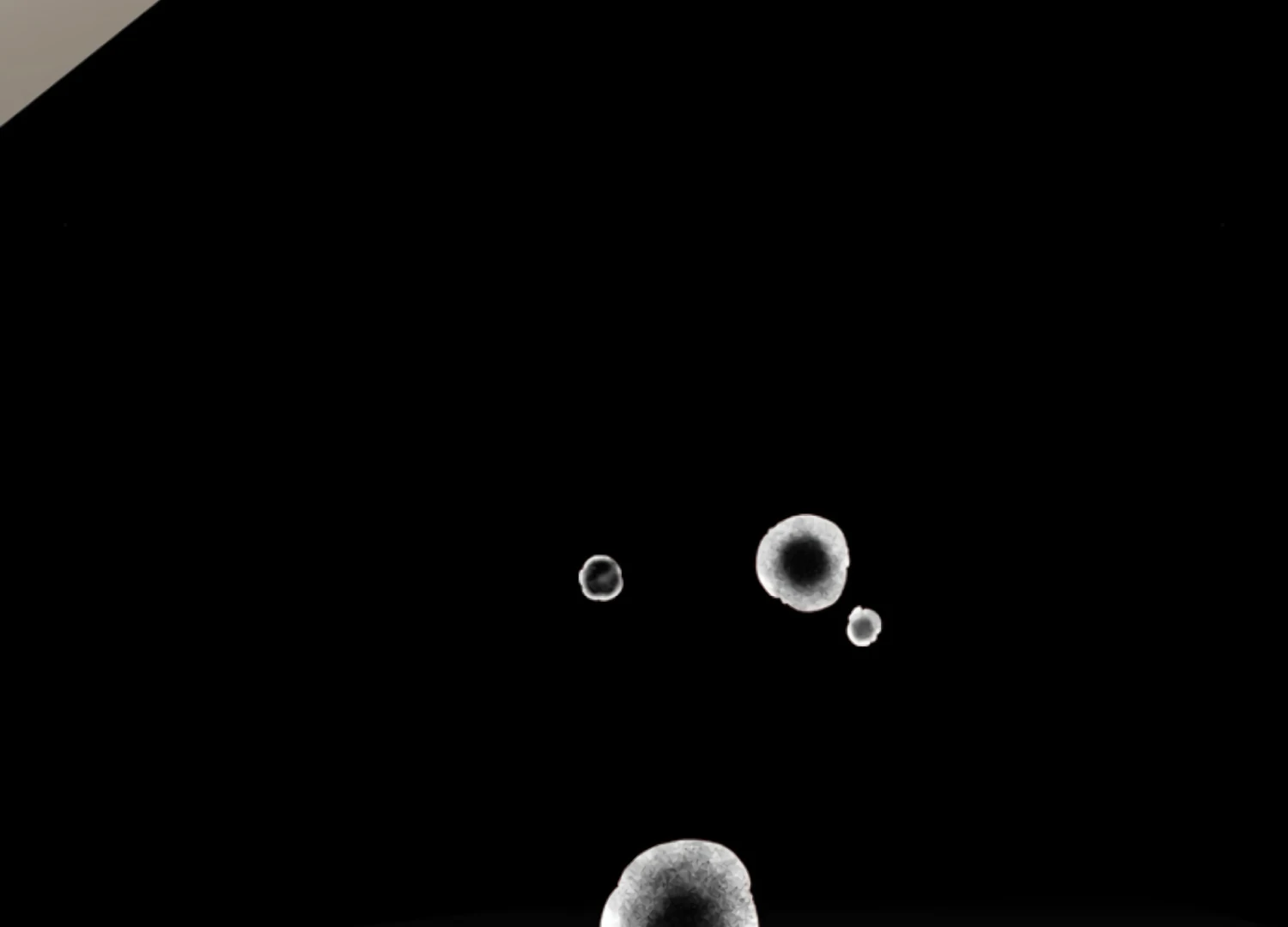 The Captive Princess At Night Chapter 12 - Page 196