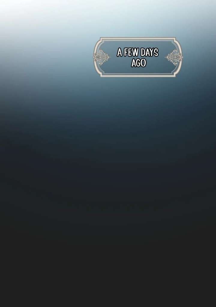 The Contract Bride Who Melted the Marquis’s Heart Chapter 1 - Page 25