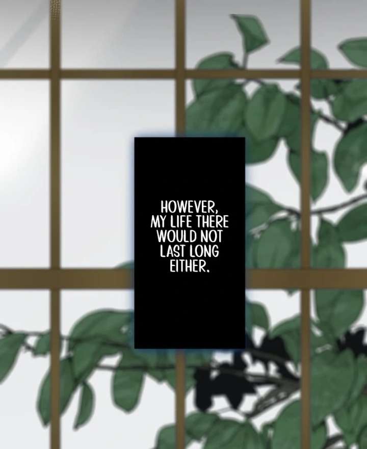 The Contract Bride Who Melted the Marquis’s Heart Chapter 3 - Page 50