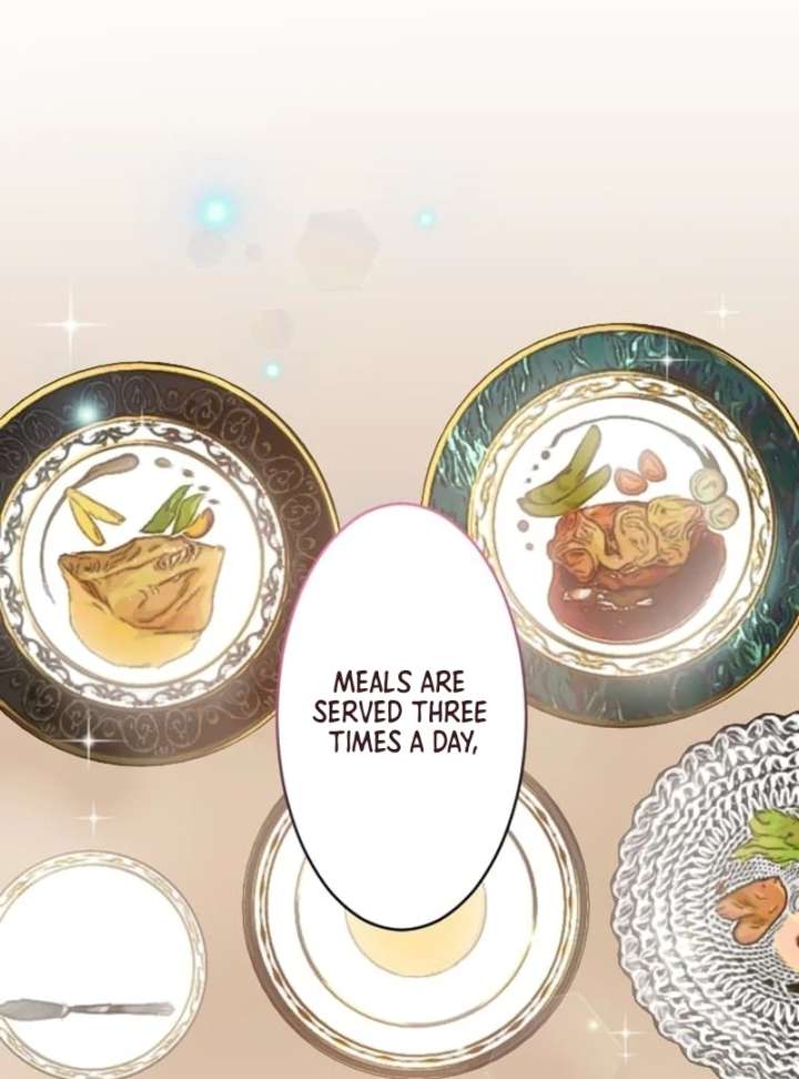 The Contract Bride Who Melted the Marquis’s Heart Chapter 5 - Page 48