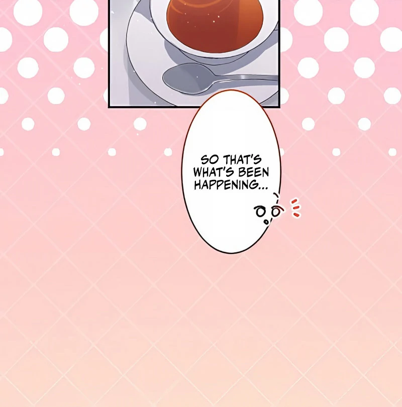 The Contract Bride Who Melted the Marquis’s Heart Chapter 9 - Page 71