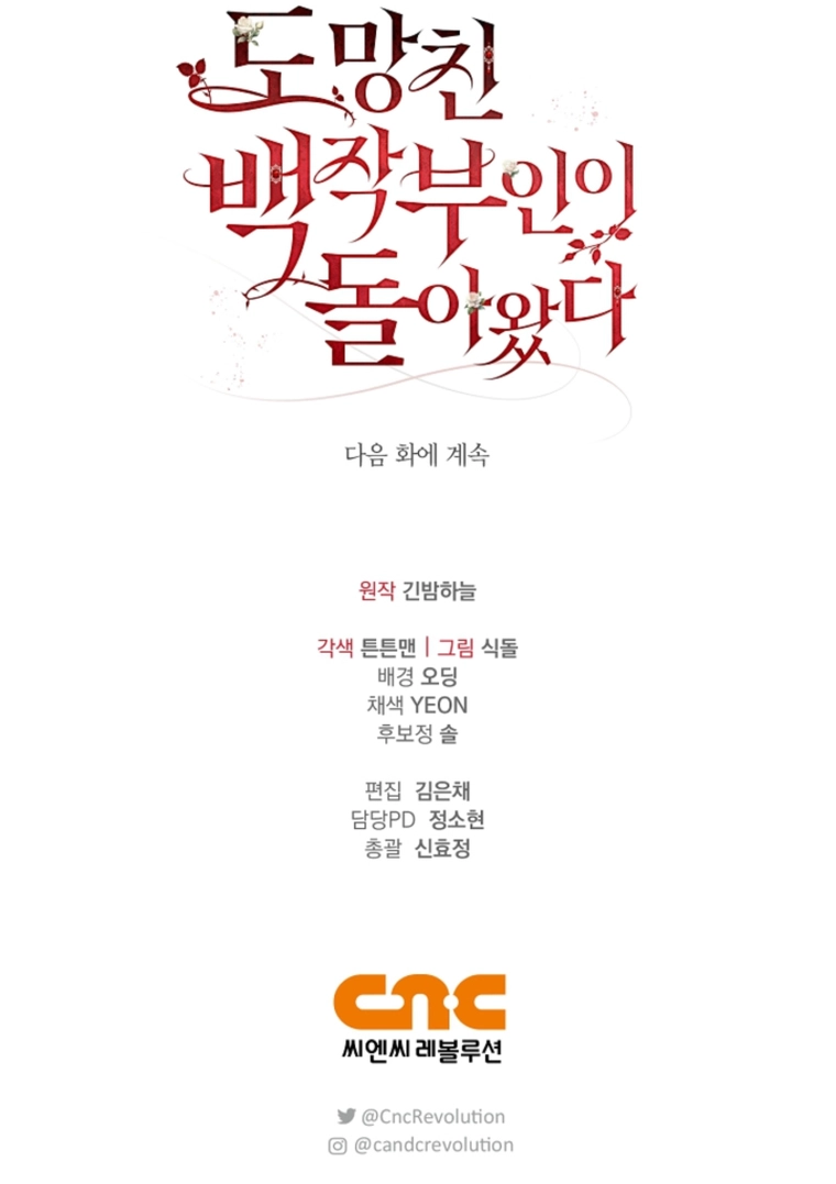 The Countess Who Ran Away Has Returned Chapter 10 - Page 9