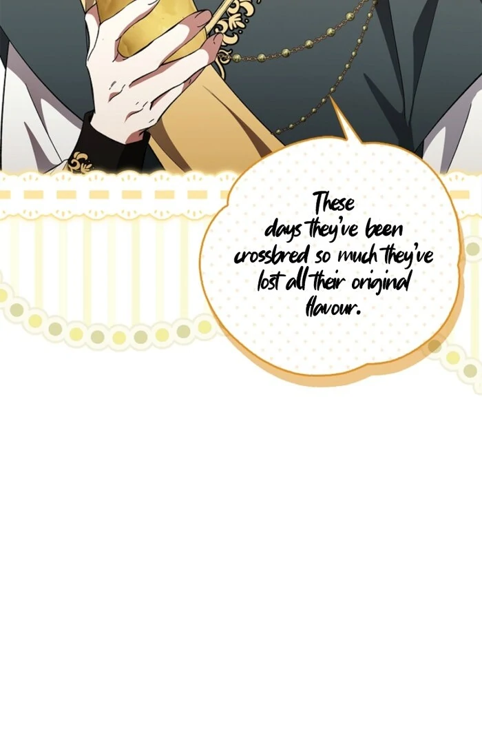 The Countess Who Ran Away Has Returned Chapter 17 - Page 95