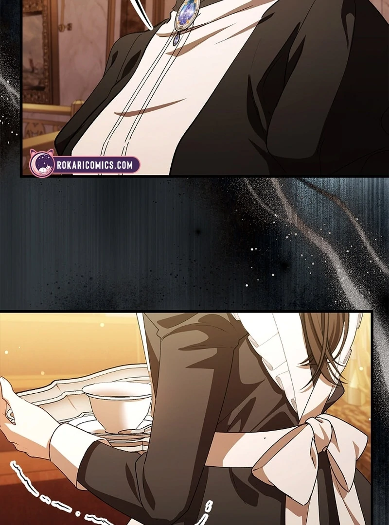 The Countess Who Ran Away Has Returned Chapter 19 - Page 10