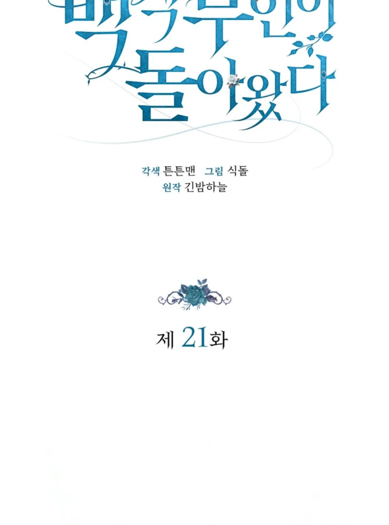 The Countess Who Ran Away Has Returned Chapter 21 - Page 31